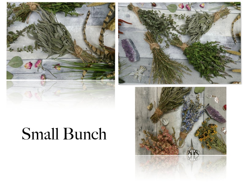 Dried Herbs or Flowers in a Bunch or Trial/Sample Size1-3 Stems of Different Botanicals image 5
