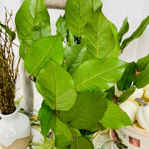 Preserved Salal Lemon Leaf Large Bunch, Home Decor You choose color image 2