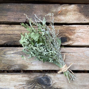 Dried Herbal Bundle Variety Herbs Amherst County, VA image 2