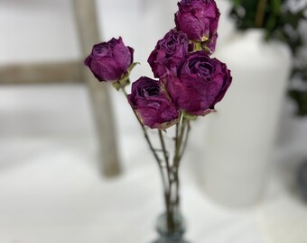 Dried Roses, 6 Stems, Medium Purple