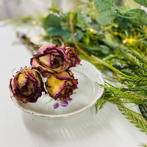 Dried Roses, 5 Stems, Vanilla Strawberry