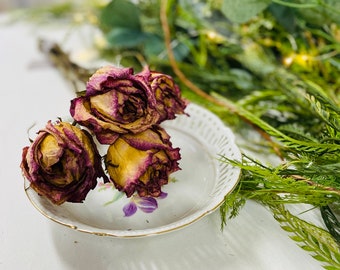 Dried Roses, 5 Stems, Vanilla Strawberry