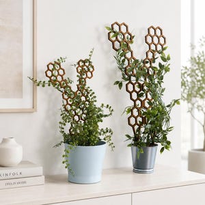May include: Two brown wooden plant trellises with a honeycomb pattern, each supporting a green leafy plant. The left plant is in a light blue pot, and the right plant is in a metallic silver pot, both displayed on a flat surface.
