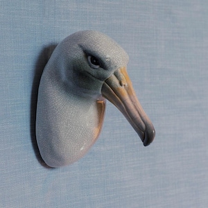 May include: A ceramic wall sculpture of an albatross head featuring a light grey finish with a fine crackle glaze texture. The bird has a prominent, elongated beak with subtle yellow and pinkish-brown gradients and a dark, focused eye.