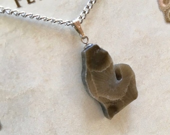 Petoskey Stone Necklace, Michigan State Stone, Jewelry, Birthday Present, Fossilized Coral, Fossil, Pendant, Gift for her, FREE SHIPPING