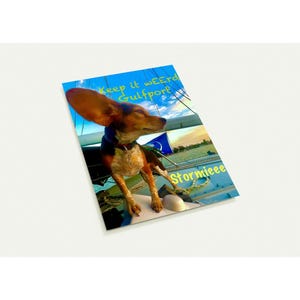 Pacote de 10 cartões postais Stormieee Mini Beagle - Coleção de cães famosos de Gulfport - Perfeito para qualquer ocasião