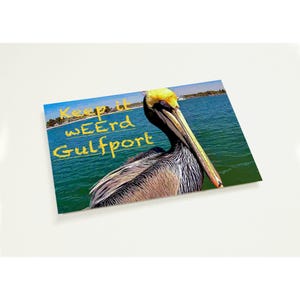 Pacchetto di cartoline Pete the Pelican di TMP - Gulfport, FL - Biglietti di auguri unici, design elegante