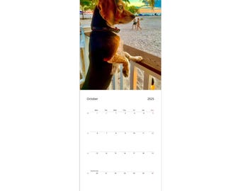 Calendario Stormieee Mini Beagle - Regalo personalizzabile per gli amanti dei cani - Stampe di alta qualità