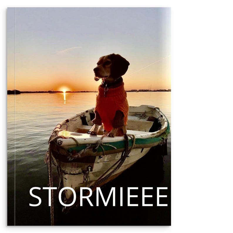 Stormieee THE MORNING PAN Beagle: Libro fotografico con copertina morbida - Catturare i cuori a Gulfport, Florida immagine 1