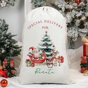 May include: A cream-coloured Christmas gift sack with a drawstring. The sack displays a watercolour illustration of Santa Claus in a sleigh, a Christmas tree, and reindeer. Text reads "Special Delivery For Renata."
