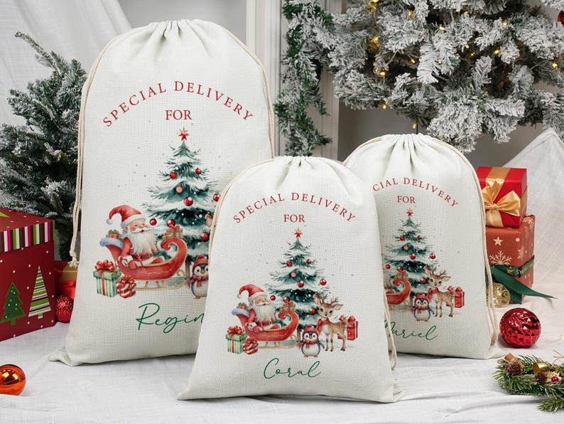 May include: Three cream-coloured Christmas gift bags with drawstring tops. Each bag has a festive design featuring Santa Claus, a Christmas tree, and the words "Special Delivery For".