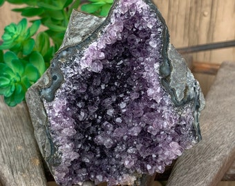 Amethyst Pine Cluster Self Standing Crystal Crown Chakra Sobriety Divine Love Item 001
