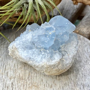 Celestite Geode Raw Crystal Mineral Third Eye Chakra Wisdom Understanding Item 003