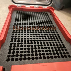 May include: A red plastic storage case with a clear hinged lid featuring a honeycomb pattern. Inside, a black foam insert contains a grid of circular holes. A single row of seventeen copper-tipped cartridges is seated upright in the foam.