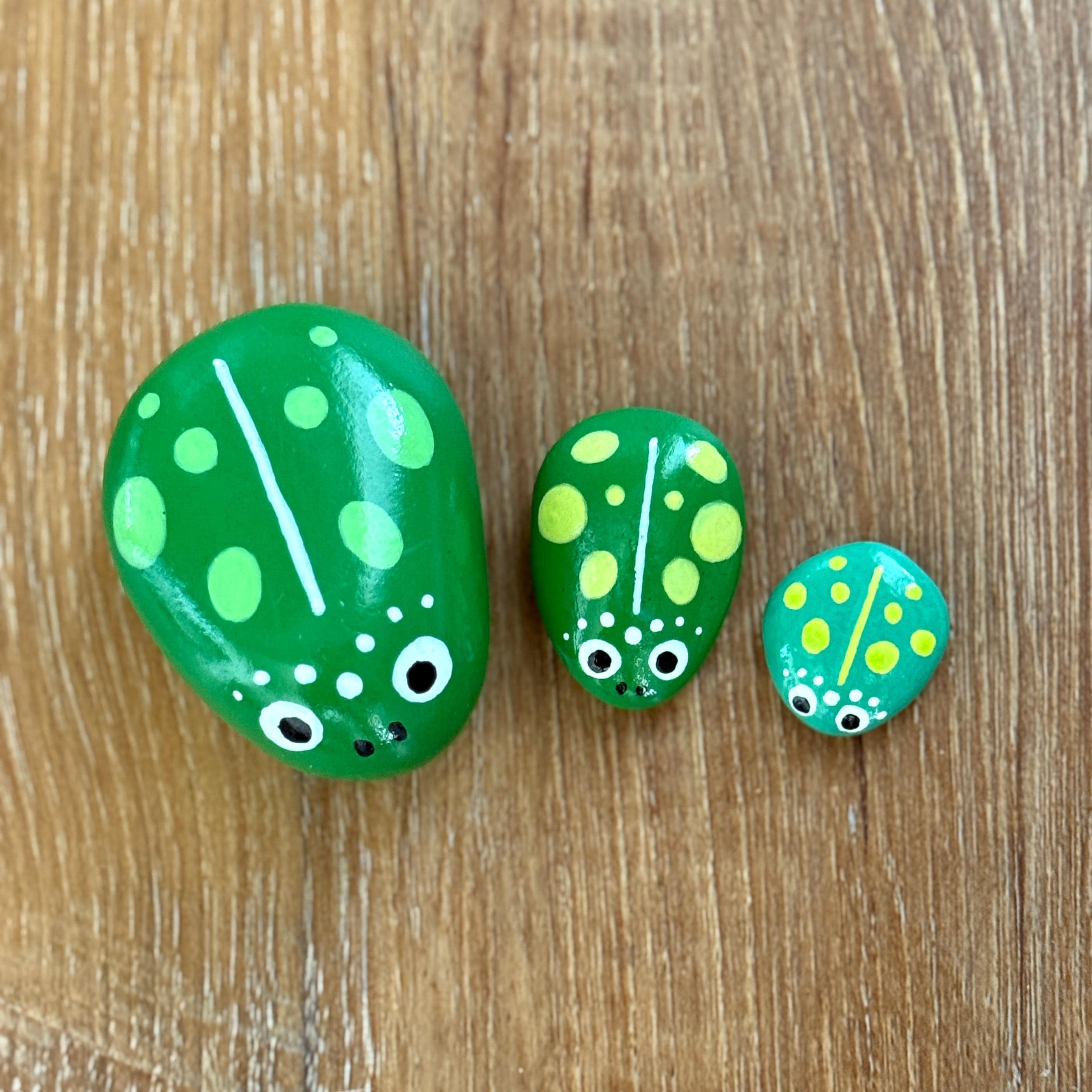 Frog Rocks, Hand painted Small Cute Garden Stones