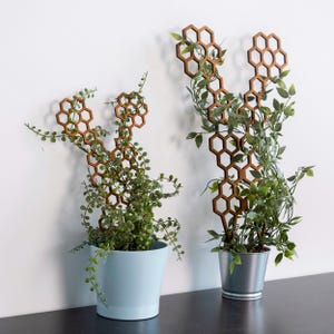 May include: Two potted plants with green leaves growing up a wooden honeycomb trellis. The trellis is brown and the pots are light blue and silver.