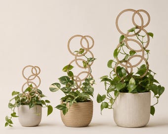 Enrejado de madera para plantas, enrejado para plantas de interior, soporte para plantas de interior, enrejado para pothos, enrejado para hoya, estaca para maceta, enrejado para plantas pequeñas