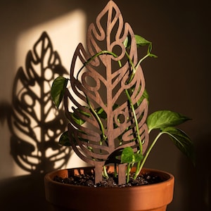 Puede incluir: Un enrejado para plantas de madera marrón oscuro con forma de hoja de monstera grande y recortes intrincados. El enrejado está insertado en la tierra de una maceta de terracota con una planta verde, proyectando una sombra en la pared.