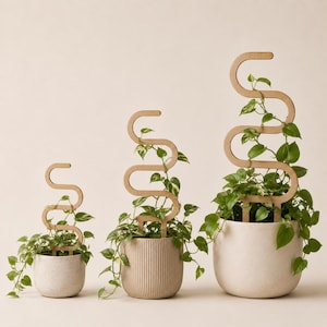 May include: Three light brown wooden plant trellises with a serpentine, S-shaped design, each inserted into a round, textured planter containing a green pothos plant. The trellises vary in height, with the smallest on the left and largest on the right.