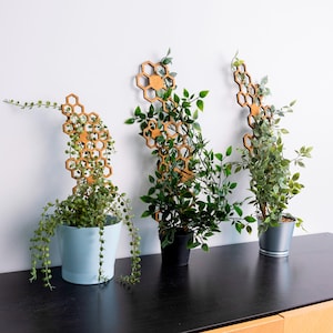 Waben Rankgitter, Holzgitter für Zimmerpflanzen, große Zimmerpflanze Kletterer, Gartenpflanzen Unterstützung, Boho Dekor