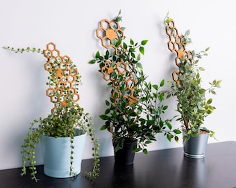 Honeycomb Plant Trellis, Wooden Trellis for Indoor Plants, Large Houseplant Climber, Garden Plant Support, Boho Trellis Decor
