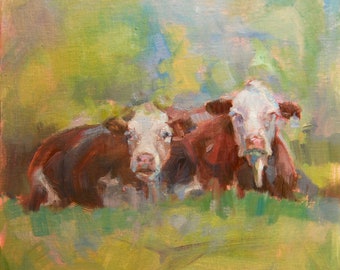 Hereford cows, cows lying down, red and white cows