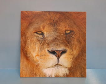 Lions Head Sign 300 x 300mm...for interior or exterior use