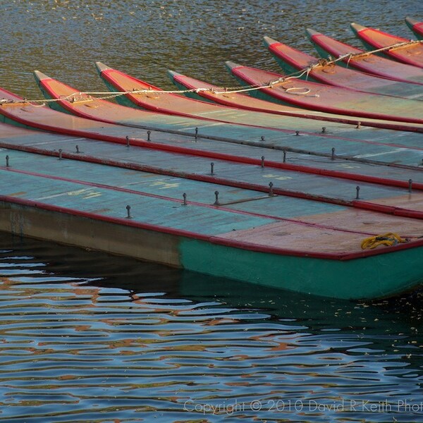 Swan Boats Waiting