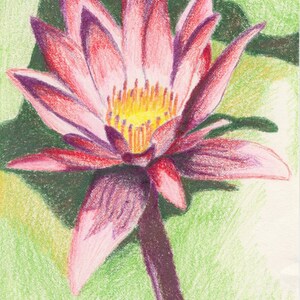 Exuberance (Reproduction)