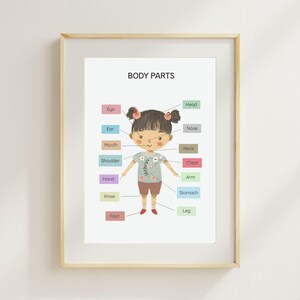 Arte de parede de partes do corpo para crianças – Quadro de anatomia para meninas para impressão, pôster para educação domiciliar para crianças em idade pré-escolar em cores pastel suaves