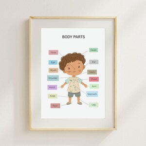 Partes del cuerpo imprimibles para niños: póster educativo de anatomía infantil, gráfico, arte mural en colores pastel para preescolar, Montessori o educación en casa.