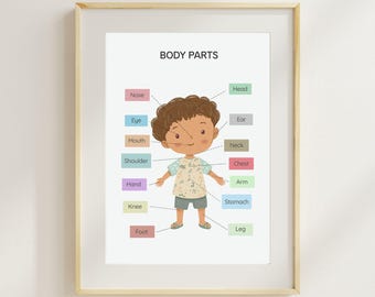 Puede incluir: Una lámina educativa enmarcada titulada "BODY PARTS" presenta una ilustración de dibujos animados de un niño con partes del cuerpo etiquetadas. Las etiquetas incluyen "Nariz", "Ojo", "Boca", "Hombro", "Mano", "Rodilla" y "Pie". El niño lleva una camisa y pantalones cortos de color azul claro.