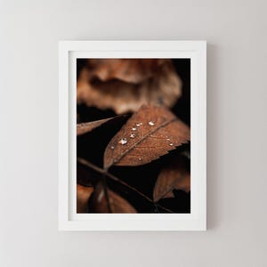 Herbst Blatt Druck, Italien Nahaufnahmen, Italienisches Reise Poster, Italienische Natur Leinwand