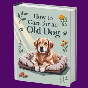 Senior Dog Care Guide: Natural Remedies, Diet & Home Safety Tips