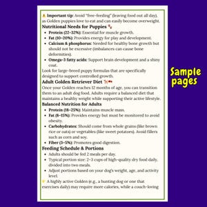 May include: A page from a guide on Golden Retriever nutrition, with text detailing puppy and adult dietary needs. The text includes percentages for protein, fat, and carbohydrates, and feeding guidelines. The words "Sample pages" are in the upper right corner.