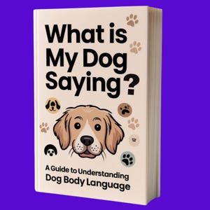 Könnte beinhalten: Ein Buch mit dem Titel "What is My Dog Saying?" mit einer Cartoon-Illustration eines Golden Retrievers auf dem Cover. Das Buch ist ein Leitfaden zum Verständnis der Körpersprache von Hunden.
