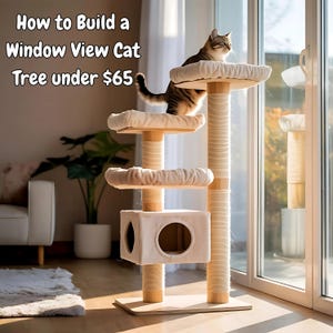 May include: A multi-level cat tree with a beige finish, featuring platforms, a cube-shaped hideaway, and scratching posts wrapped in rope. A tabby cat sits atop the highest platform. Text on the image reads: "How to Build a Window View Cat Tree under $65."