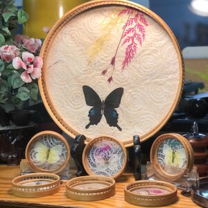 Puede incluir: Una colección de artículos decorativos con mariposas y elementos botánicos. Una gran bandeja redonda con una mariposa y flores prensadas se muestra con varios posavasos redondos pequeños. Los posavasos y la bandeja tienen un acabado de madera natural.