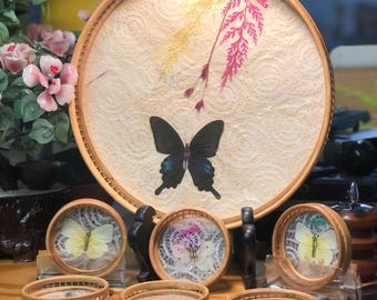 Könnte beinhalten: Eine Sammlung dekorativer Artikel mit Schmetterlingen und botanischen Elementen. Ein großer runder Tablett mit einem Schmetterling und gepressten Blumen wird zusammen mit mehreren kleinen runden Untersetzern präsentiert. Die Untersetzer und das Tablett haben eine natürliche Holzoberfläche.