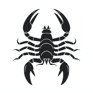 Scorpio Zodiac Scorpion Vector Art: Astrology Symbol (SVG, PNG Digital Download)