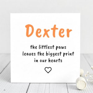 Tarjeta de memoria para mascotas: The Littlest Paws: recuerdo personalizado por la pérdida de una mascota: tributo a Dexter.