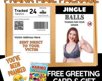 Funny Prank Mail Package Gift, Holiday Joke Delivery, Adult Humor Gag Gift, Anonymous Prank Box, Christmas or Friend Surprise