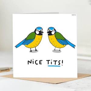 Nice T  ts Card - Funny Bird Pun Card Featuring Blue T ts - Rude and Hilarious Greeting Card for Birthday, Valentine’s, or Just Because