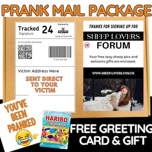 Op de afbeelding: Een bruine kartonnen doos met de tekst "PRANK MAIL PACKAGE" in wit gedrukt. De doos heeft een label met de tekst "Tracked Signature" en een barcode. De doos heeft ook een label met de tekst "THANKS FOR SIGNING UP FOR SHEEP LOVERS FORUM" en een afbeelding van een vrouw met een witte hond. De doos bevat een gratis kaart en een cadeau.