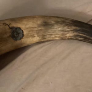 Vintage Powder Horn