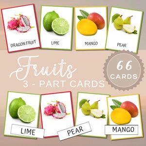 Montessori Fruits and Berries 3-Part Cards | Realistic Fruit Flashcards | Preschool & Homeschool Printables | Fruit Learning for Kids