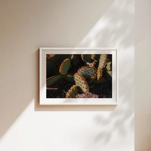 Kaktus Fine Art Fotografie Kunstdruck Kaktus Fotografie Druck Wandkunst Arizona Landschaft Landschaftsfotografie Wüste Liebhaber Geschenk