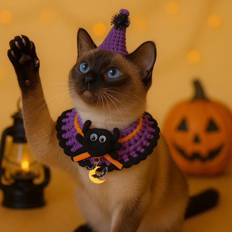 May include: A Siamese cat wearing a Halloween costume, including a purple witch hat and a crocheted collar with a bat and moon charm. An orange pumpkin is in the background. The cat is raising its paw.