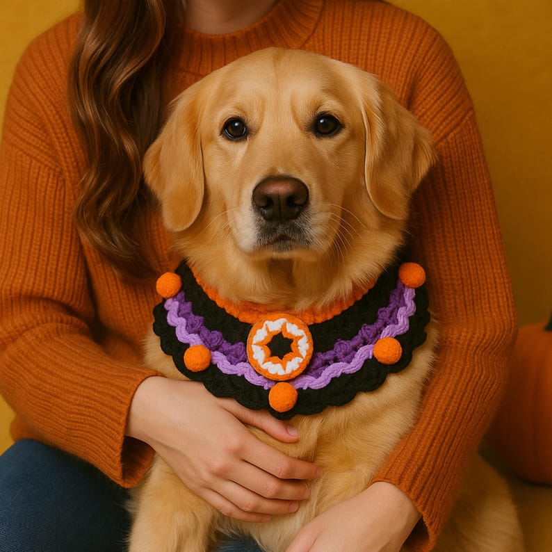 May include: A golden retriever wearing a Halloween-themed crochet collar. The collar features black, purple, and orange colors with a star-shaped centerpiece and orange pom-poms. The dog is being held by a person wearing an orange sweater.