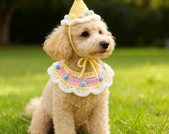 May include: A small, light-colored dog wearing a yellow party hat with a blue pom-pom and a matching collar. The collar is white with pink and yellow accents and blue pom-poms. The dog is sitting on green grass.